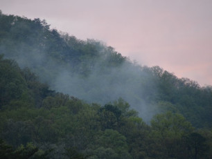 0097C86A-9834-4020-8B10-5D03A8558180