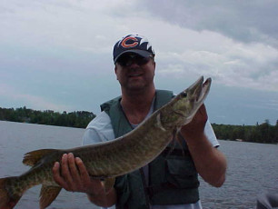 00ea87b0-6794-4a14-9281-42c964f414a1