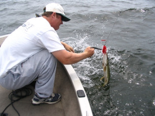 01161d4c-017c-489d-928d-fa2cc4689722