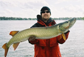 0134ed08-bcdd-4d00-a312-084ddad256d3