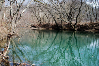 01971E21-DBD8-44C1-A988-7051CD4D9867