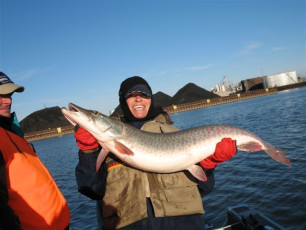 01a98e56-d6b2-4fa7-a649-360d90925409