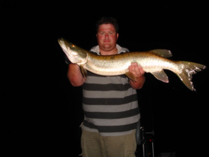 01d6bd42-c2ba-4a38-a7af-d4d0fd94a5f0