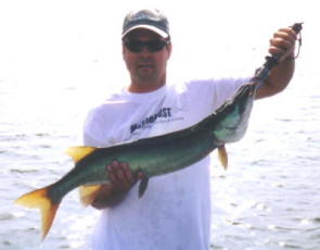 01fdf7a9-97f7-43d5-b399-2623a4630eaa