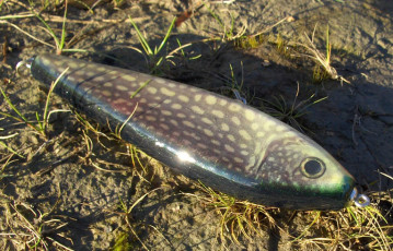 0224C799-112C-45AE-B4A1-B0E7E75AFC3D