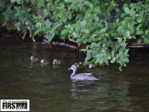 0239F3E7-1098-41C9-A614-F3AB78AE7349