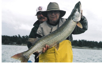 024cf94c-74dc-44d5-bc17-f9706c186c01