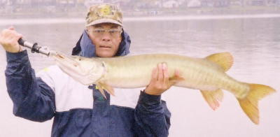 02ecbd18-0525-4958-8649-0ebea68df7d8