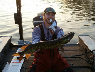 032B2D17-1D86-4B4E-A29E-4967FB886847