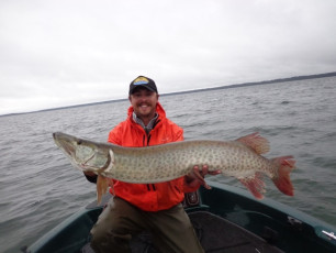 0370D17C-4029-4F4A-8D9B-8D16BC3467C4