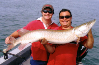 03754491-85f7-4b31-970f-f8deefa89c8a