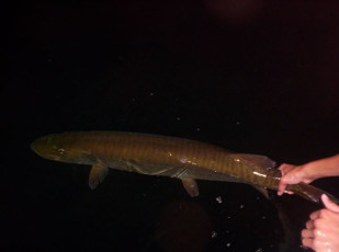 0416F32F-7CD5-4819-8C40-8EF45F830CE1