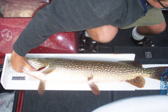 04520ce6-b709-43cd-8df1-7b03b9c628fe