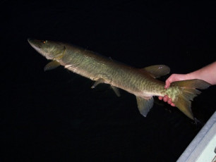 04CA5D8B-0CA8-4857-A300-2C177BC31873