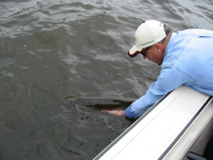 050aaac1-0634-4396-a261-2c39eab865d4