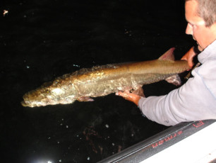 05dd084c-2f57-4d44-9614-8ae334668587