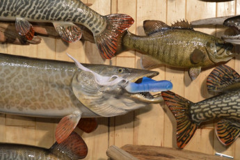 063654F0-1EFC-42CD-9234-F4035C3BCADE