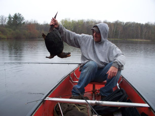 064B18DF-3446-4272-B5F6-816271371A89