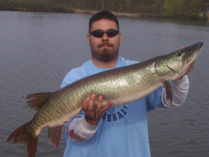 068266a2-3148-414a-a372-b985dca6dcc3