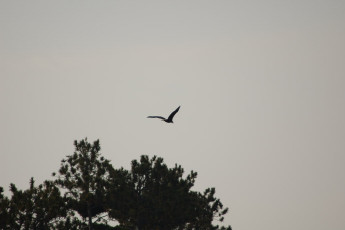 0682E888-A48D-4264-98B9-774F663FC7F2