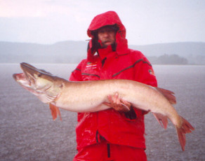 069ad366-7779-448f-a308-76b05fd6e6f9