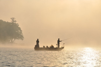 06FC5996-D9D8-4C06-A6E1-1066918EED83