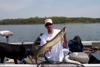 07391f20-f725-4ba3-81ad-42c35b266f7b