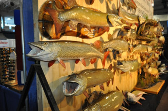 073C7AD5-4689-415F-93DD-2E778468D6A4