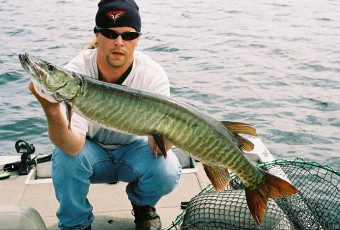 07502627-2402-4f46-b2ea-baeb5be511d5