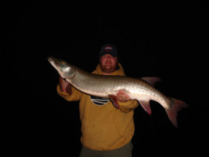 078cfa43-b3e3-4b3d-b479-f98be6eac565