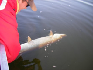 07AFDB72-AF1E-4ECF-8212-51A4FB99F23A