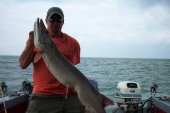 07b3edc1-c1c7-4716-847a-187e12a0b5a2