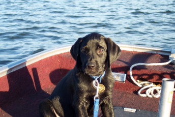 07bc9558-5d20-4075-ab95-0d7bb48e8863