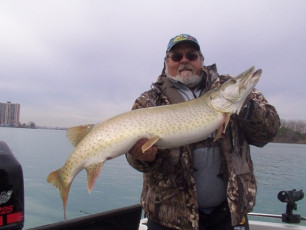 07d2b2f8-ebef-403a-8baf-e67092422788