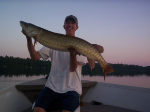 08224199-51EB-41CC-B4AE-EBB244300982