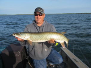 082C6CEE-DDCD-482D-BD06-8DA470E4FE38