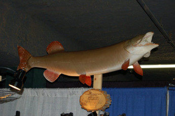 086461d3-4645-45de-9370-f015a24b05f2