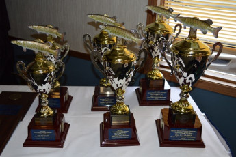 088381FD-CD67-4EAA-B822-53EA28BB3FFB