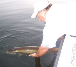 08F94943-4B71-4D0C-870E-65C5D55E0AAA