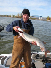 08c190c2-0d7d-4f17-93cc-17431ab61638