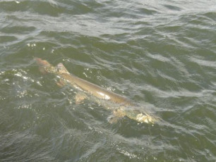 094AF067-EABA-4DA9-BE8E-486E0C00ADED