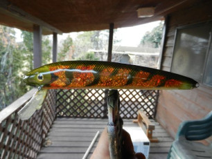 09537698-3090-4CAB-92E0-B79F3AF00EF9