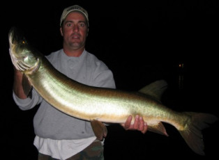 09792294-11fe-46b7-ba18-6b9dbbe32b54