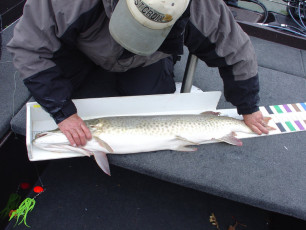 09ae80c8-b564-40fa-962b-c172e04c7a0e