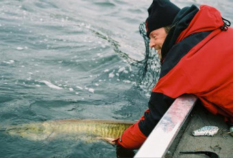 09cf4bb3-5187-4a21-b2a4-a6df8cc722e7