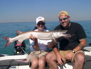 09dda881-3897-472d-aa7f-562f3bb9d30f