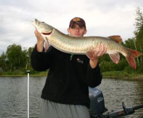 0C71FFEE-7260-4068-A78C-91353D6E5445