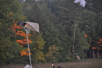 0D3066BA-65CF-4C02-8EEA-4228844B9627