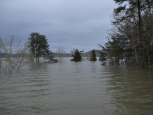 0E16B6B2-8627-4565-9DAD-218181B34B68