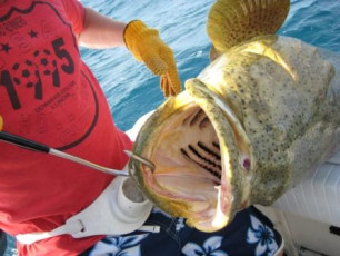 0E35C857-DC3A-4E0F-8E8E-7BB2544A6B68